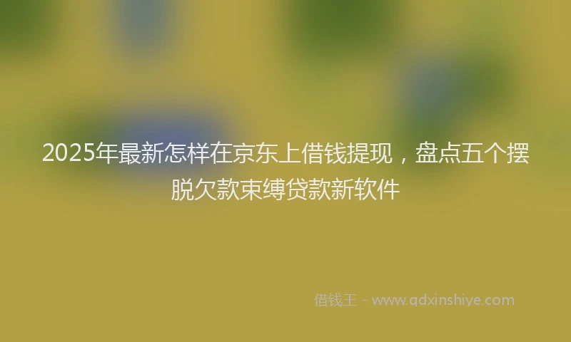 2025年最新怎样在京东上借钱提现，盘点五个摆脱欠款束缚贷款新软件