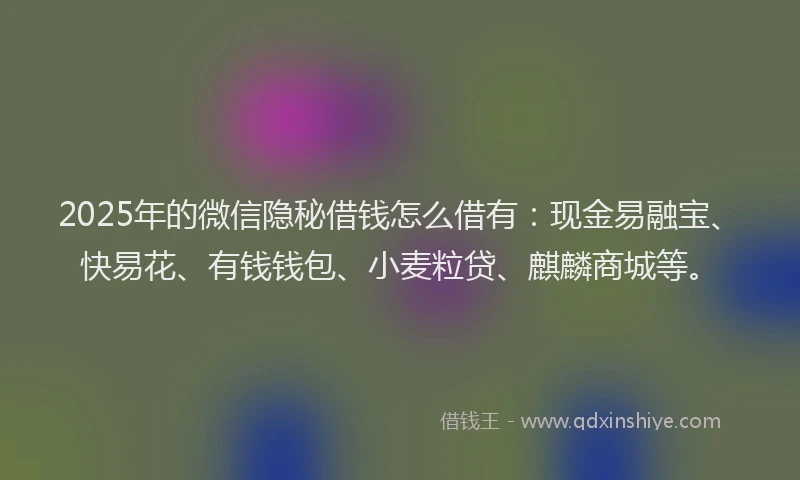 2025年的微信隐秘借钱怎么借有：现金易融宝、快易花、有钱钱包、小麦粒贷、麒麟商城等。