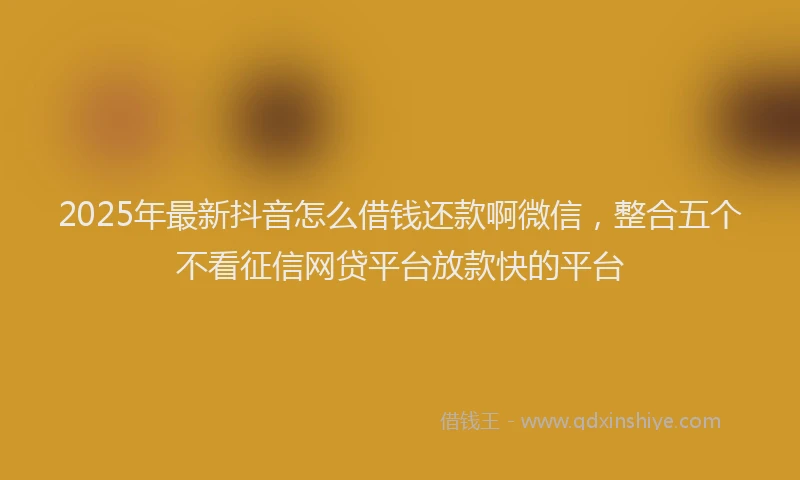 2025年最新抖音怎么借钱还款啊微信，整合五个不看征信网贷平台放款快的平台