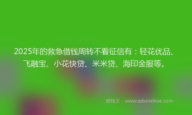 2025年的救急借钱周转不看征信有：轻花优品、飞融宝、小花快贷、米米贷、海印金服等。