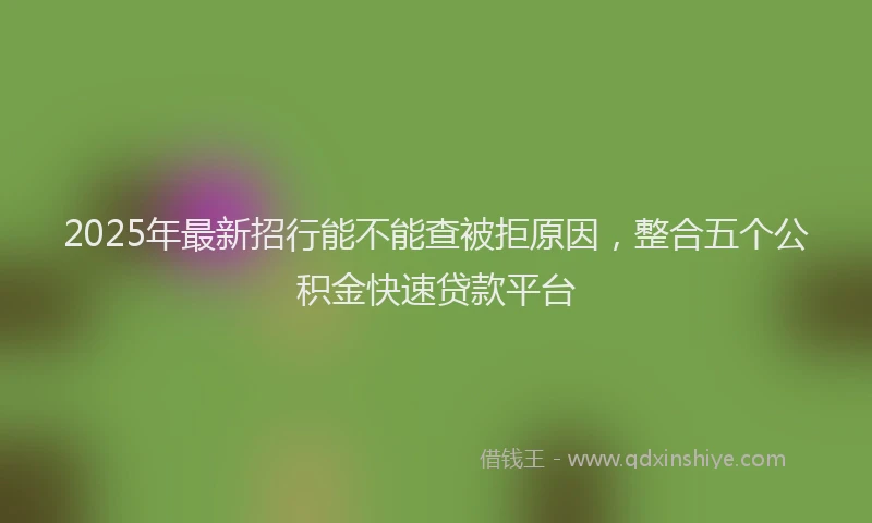 2025年最新招行能不能查被拒原因，整合五个公积金快速贷款平台