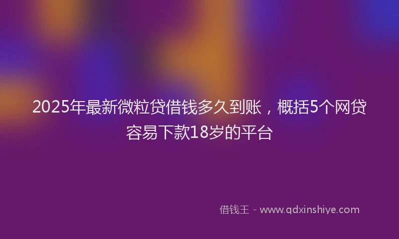 2025年最新微粒贷借钱多久到账，概括5个网贷容易下款18岁的平台