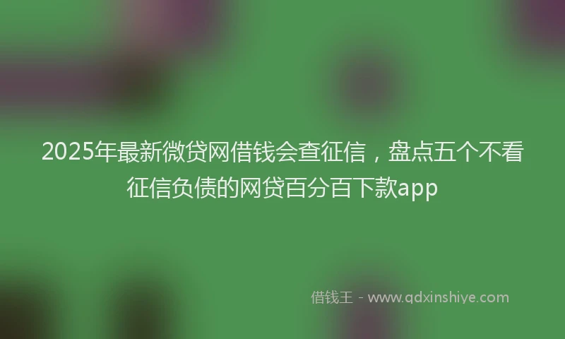 2025年最新微贷网借钱会查征信，盘点五个不看征信负债的网贷百分百下款app