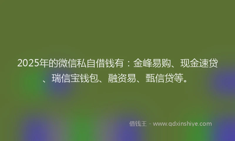 2025年的微信私自借钱有:金峰易购、现金速贷、瑞信宝钱包、融资易、甄信贷等。