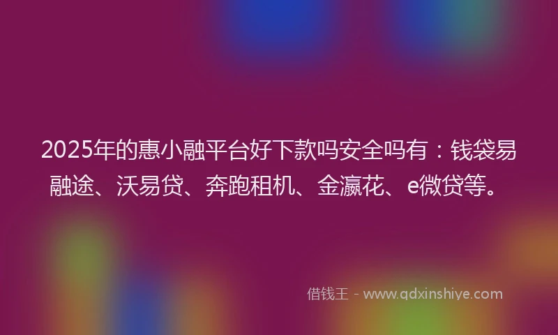 2025年的惠小融平台好下款吗安全吗有：钱袋易融途、沃易贷、奔跑租机、金瀛花、e微贷等。