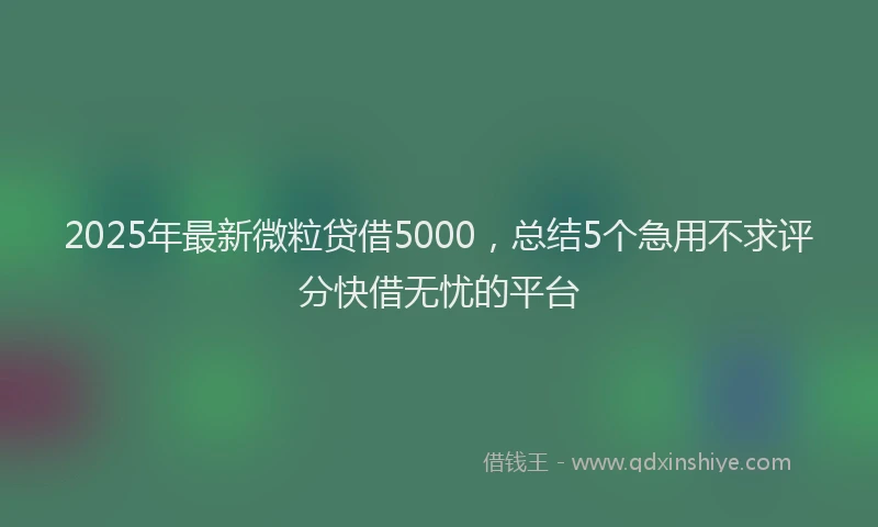 2025年最新微粒贷借5000，总结5个急用不求评分快借无忧的平台