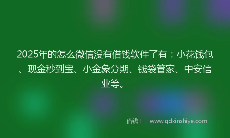 2025年的怎么微信没有借钱软件了有：小花钱包、现金秒到宝、小金象分期、钱袋管家、中安信业等。
