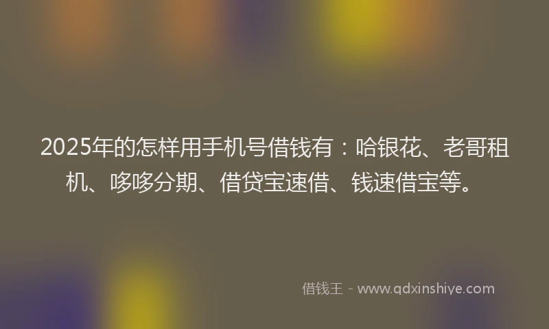 2025年的怎样用手机号借钱有：哈银花、老哥租机、哆哆分期、借贷宝速借、钱速借宝等。