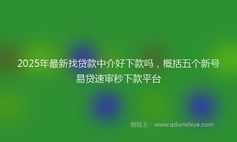 2025年最新找贷款中介好下款吗，概括五个新号易贷速审秒下款平台