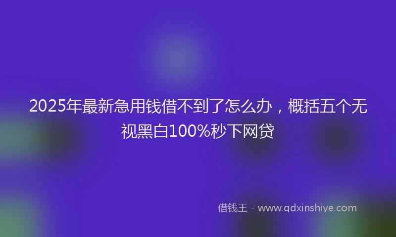 2025年最新急用钱借不到了怎么办，概括五个无视黑白100%秒下网贷