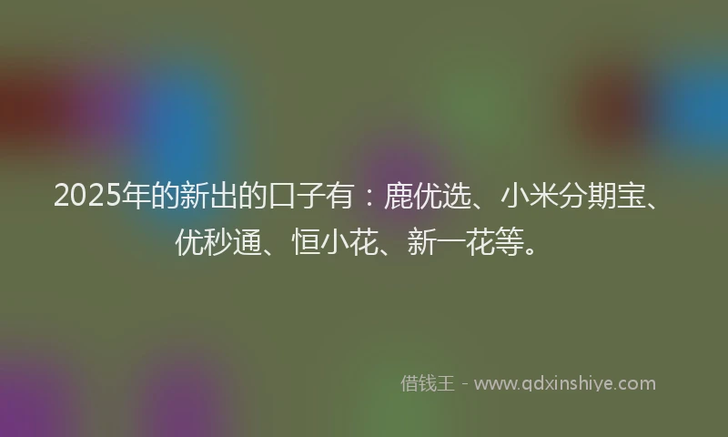 2025年的新出的口子有：鹿优选、小米分期宝、优秒通、恒小花、新一花等。