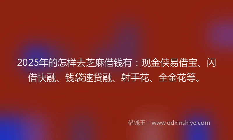 2025年的怎样去芝麻借钱有：现金侠易借宝、闪借快融、钱袋速贷融、射手花、全金花等。