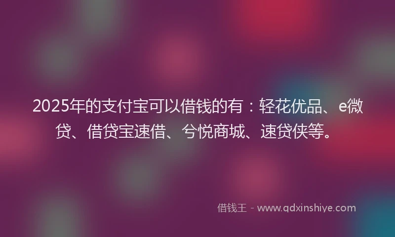 2025年的支付宝可以借钱的有：轻花优品、e微贷、借贷宝速借、兮悦商城、速贷侠等。