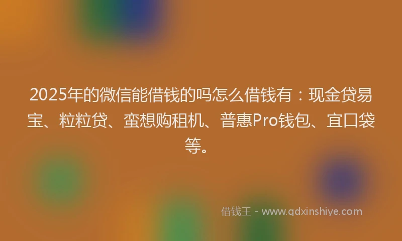 2025年的微信能借钱的吗怎么借钱有：现金贷易宝、粒粒贷、蛮想购租机、普惠Pro钱包、宜口袋等。