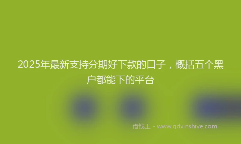 2025年最新支持分期好下款的口子，概括五个黑户都能下的平台