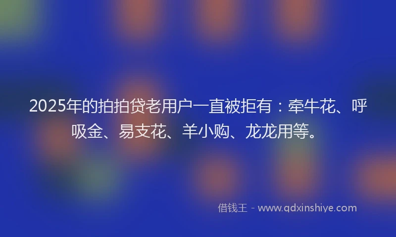 2025年的拍拍贷老用户一直被拒有：牵牛花、呼吸金、易支花、羊小购、龙龙用等。