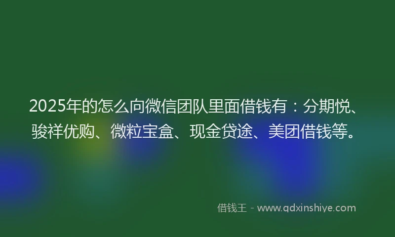 2025年的怎么向微信团队里面借钱有：分期悦、骏祥优购、微粒宝盒、现金贷途、美团借钱等。