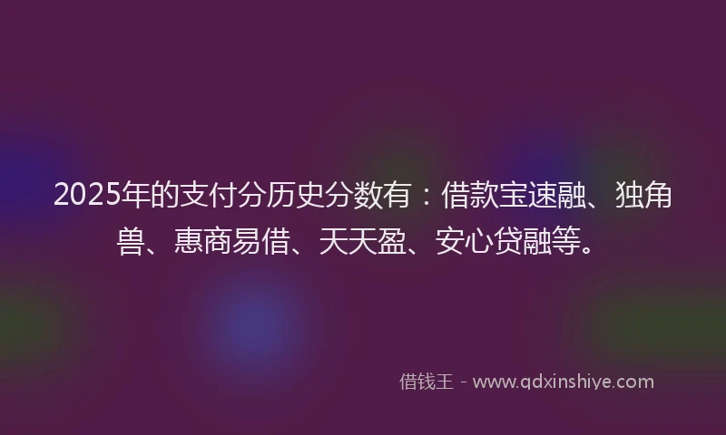 2025年的支付分历史分数有：借款宝速融、独角兽、惠商易借、天天盈、安心贷融等。