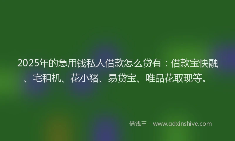 2025年的急用钱私人借款怎么贷有：借款宝快融、宅租机、花小猪、易贷宝、唯品花取现等。