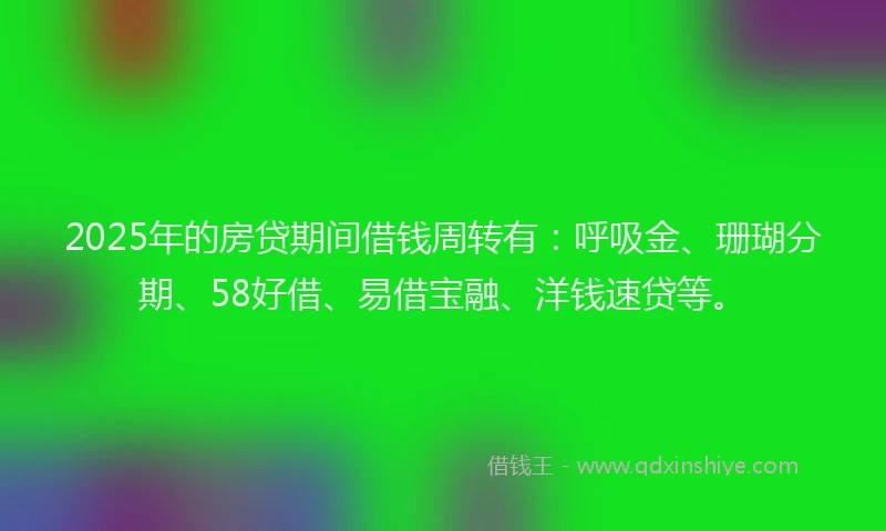 2025年的房贷期间借钱周转有：呼吸金、珊瑚分期、58好借、易借宝融、洋钱速贷等。