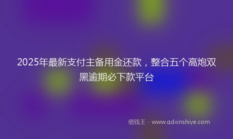 2025年最新支付主备用金还款，整合五个高炮双黑逾期必下款平台