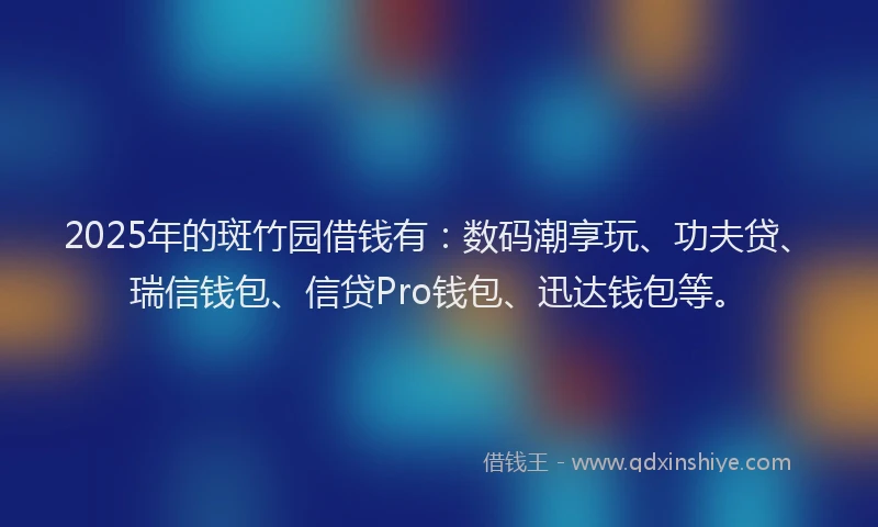 2025年的斑竹园借钱有：数码潮享玩、功夫贷、瑞信钱包、信贷Pro钱包、迅达钱包等。
