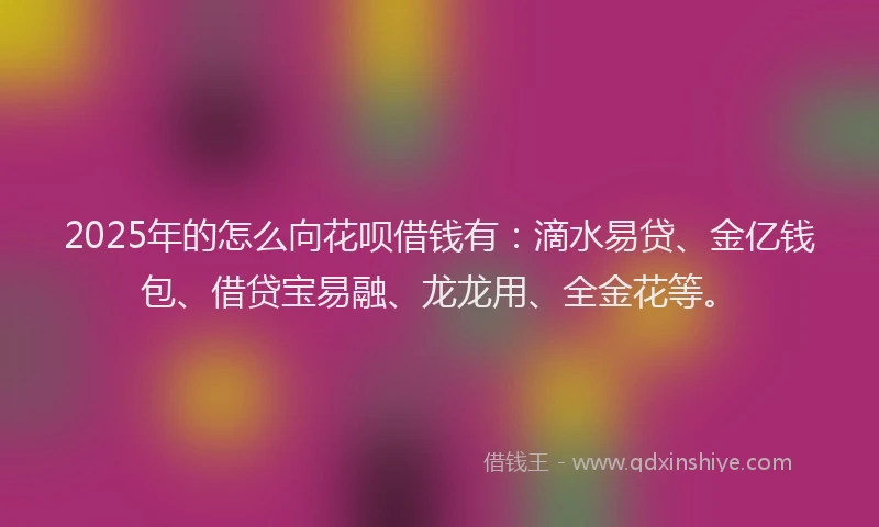 2025年的怎么向花呗借钱有：滴水易贷、金亿钱包、借贷宝易融、龙龙用、全金花等。