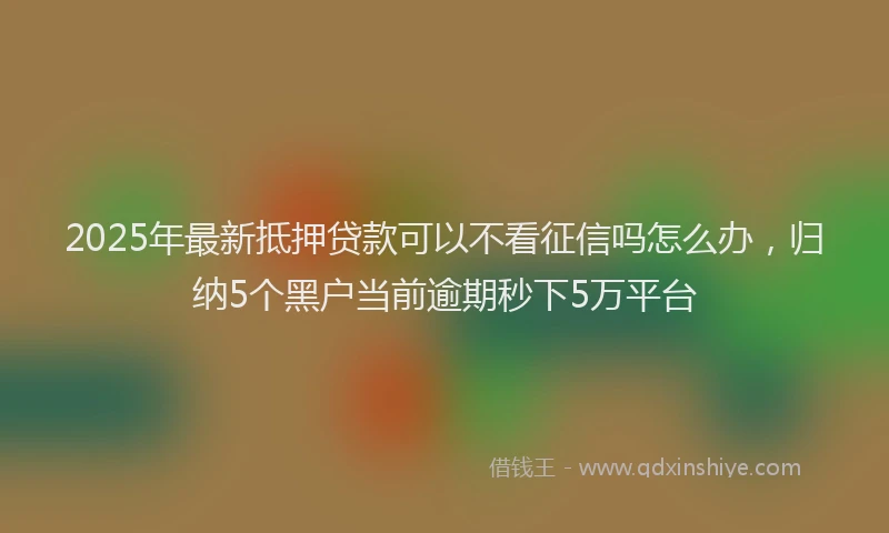 2025年最新抵押贷款可以不看征信吗怎么办，归纳5个黑户当前逾期秒下5万平台