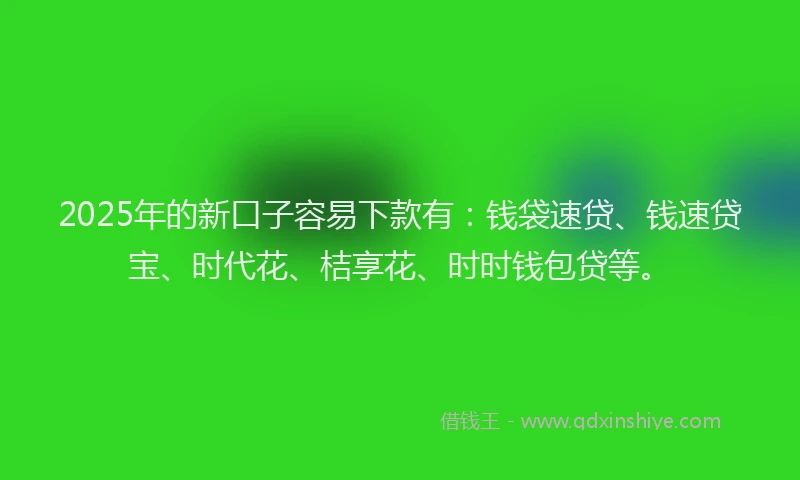 2025年的新口子容易下款有：钱袋速贷、钱速贷宝、时代花、桔享花、时时钱包贷等。