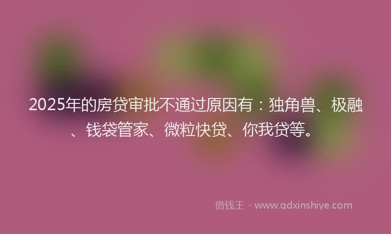 2025年的房贷审批不通过原因有：独角兽、极融、钱袋管家、微粒快贷、你我贷等。