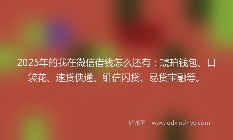 2025年的我在微信借钱怎么还有：琥珀钱包、口袋花、速贷侠通、维信闪贷、易贷宝融等。