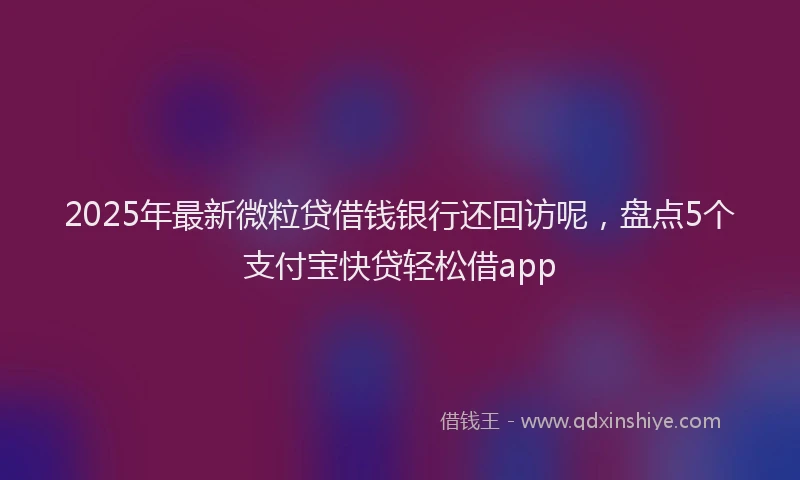 2025年最新微粒贷借钱银行还回访呢，盘点5个支付宝快贷轻松借app