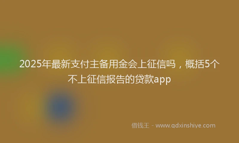 2025年最新支付主备用金会上征信吗，概括5个不上征信报告的贷款app