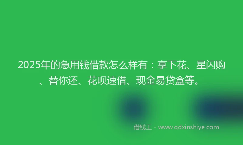 2025年的急用钱借款怎么样有：享下花、星闪购、替你还、花呗速借、现金易贷盒等。