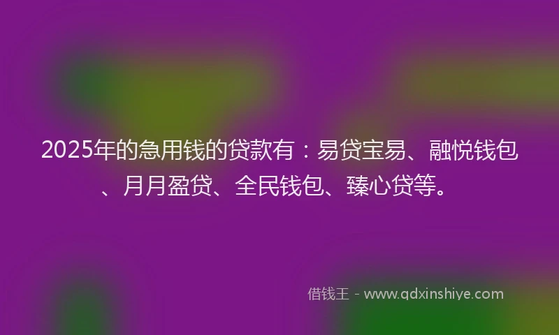 2025年的急用钱的贷款有：易贷宝易、融悦钱包、月月盈贷、全民钱包、臻心贷等。