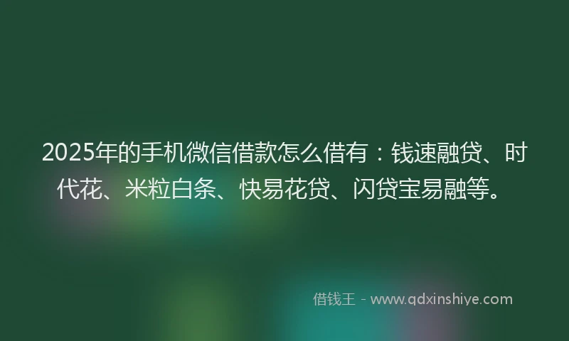 2025年的手机微信借款怎么借有：钱速融贷、时代花、米粒白条、快易花贷、闪贷宝易融等。
