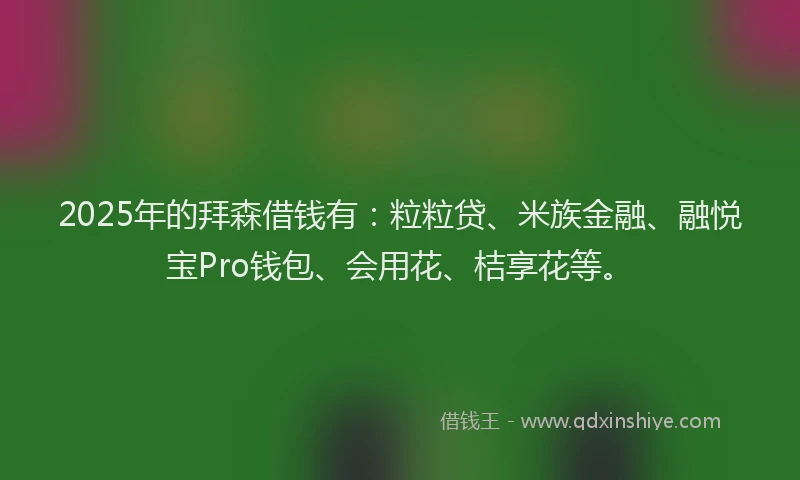 2025年的拜森借钱有：粒粒贷、米族金融、融悦宝Pro钱包、会用花、桔享花等。