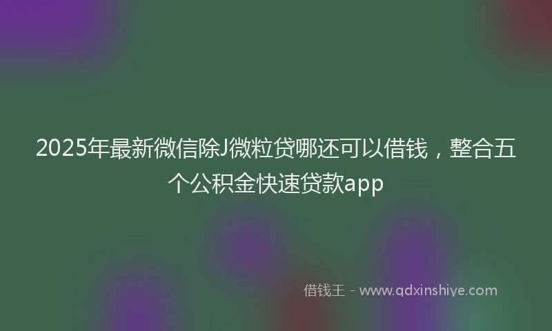 2025年最新微信除J微粒贷哪还可以借钱，整合五个公积金快速贷款app
