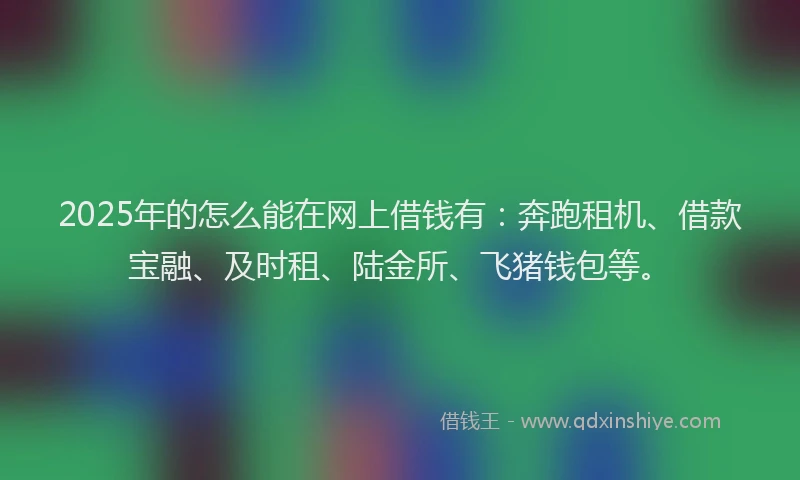 2025年的怎么能在网上借钱有：奔跑租机、借款宝融、及时租、陆金所、飞猪钱包等。
