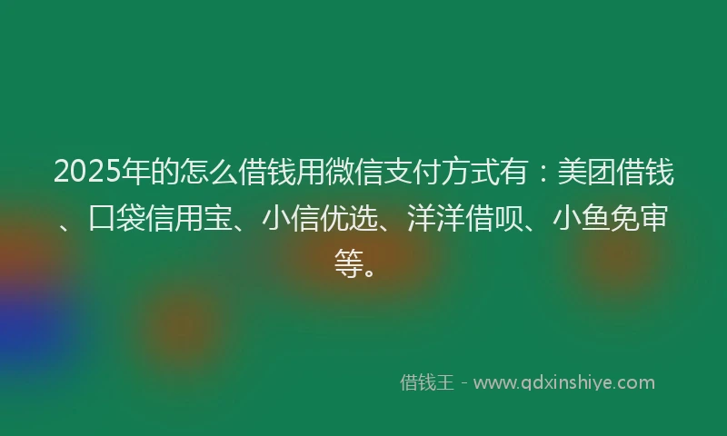 2025年的怎么借钱用微信支付方式有：美团借钱、口袋信用宝、小信优选、洋洋借呗、小鱼免审等。