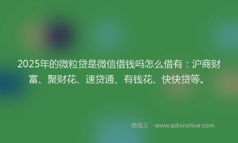 2025年的微粒贷是微信借钱吗怎么借有：沪商财富、聚财花、速贷通、有钱花、快快贷等。
