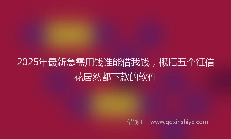 2025年最新急需用钱谁能借我钱，概括五个征信花居然都下款的软件
