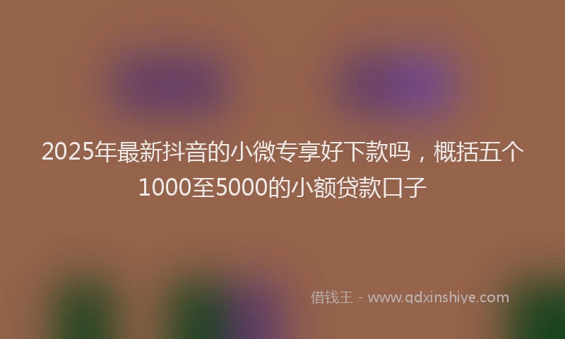 2025年最新抖音的小微专享好下款吗，概括五个1000至5000的小额贷款口子