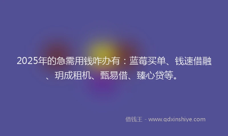 2025年的急需用钱咋办有：蓝莓买单、钱速借融、玥成租机、甄易借、臻心贷等。
