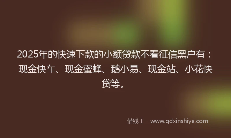 2025年的快速下款的小额贷款不看征信黑户有：现金快车、现金蜜蜂、鹅小易、现金站、小花快贷等。
