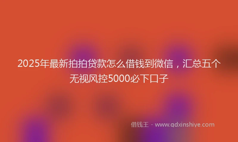 2025年最新拍拍贷款怎么借钱到微信，汇总五个无视风控5000必下口子