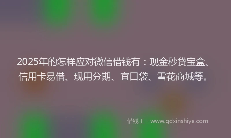 2025年的怎样应对微信借钱有：现金秒贷宝盒、信用卡易借、现用分期、宜口袋、雪花商城等。