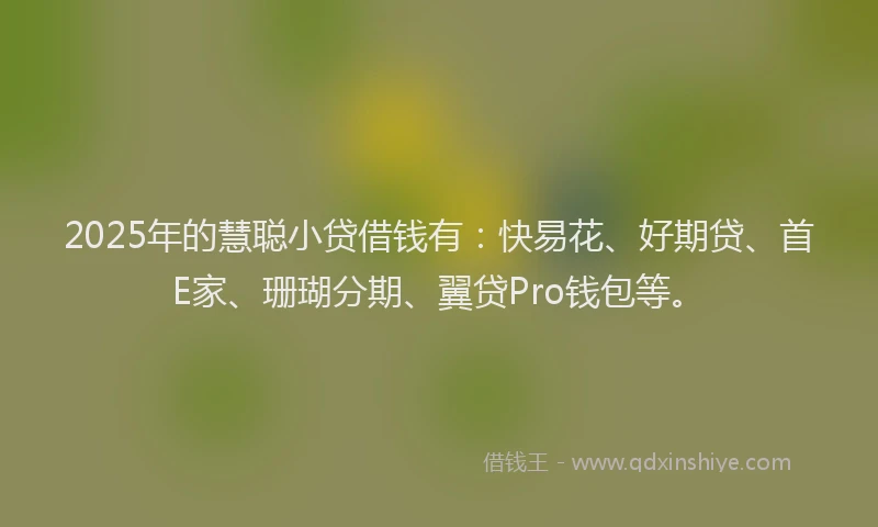 2025年的慧聪小贷借钱有：快易花、好期贷、首E家、珊瑚分期、翼贷Pro钱包等。