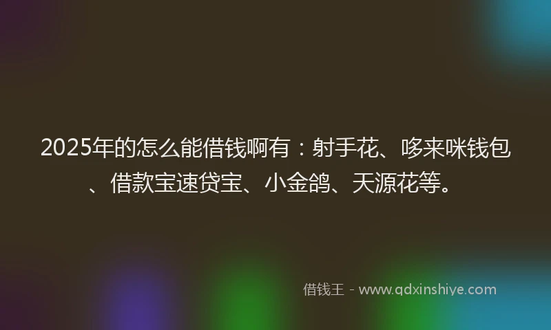 2025年的怎么能借钱啊有：射手花、哆来咪钱包、借款宝速贷宝、小金鸽、天源花等。