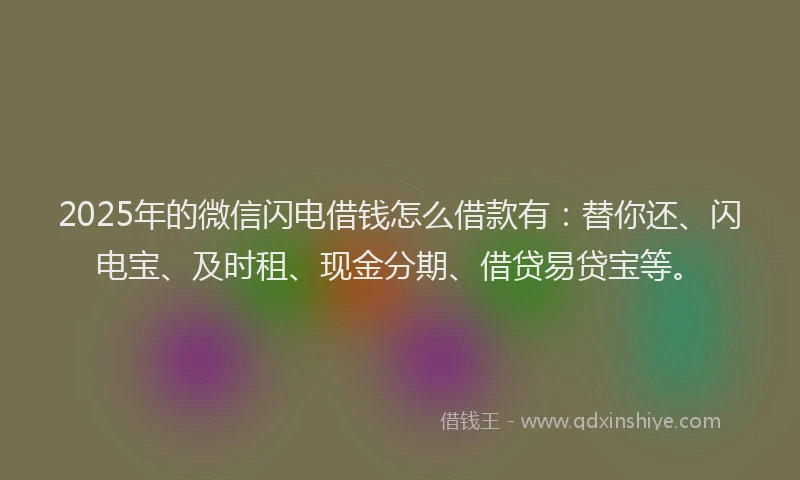 2025年的微信闪电借钱怎么借款有：替你还、闪电宝、及时租、现金分期、借贷易贷宝等。